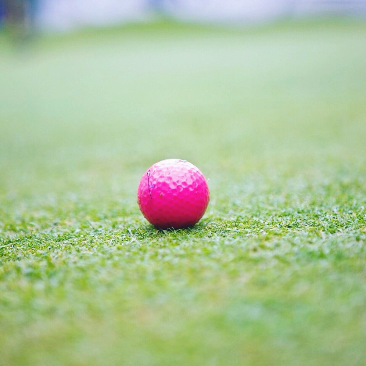 Prairie Lakes Golf tweet media