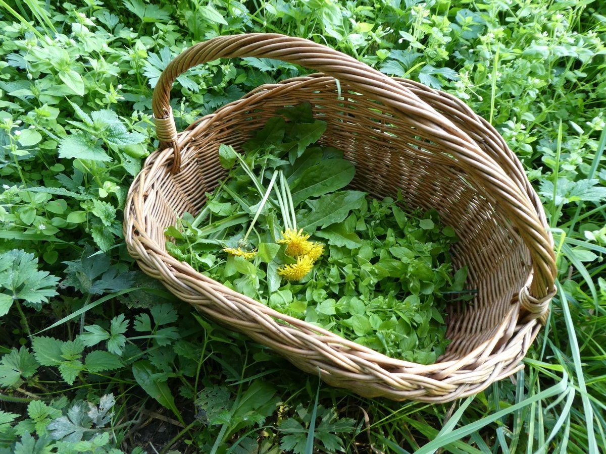 #zeilen #wildplukken en #heerlijketen in de #AldeFeanen #Friesland. 5 juni 17.30 uur € 52,50 inhetwildeweg.nl