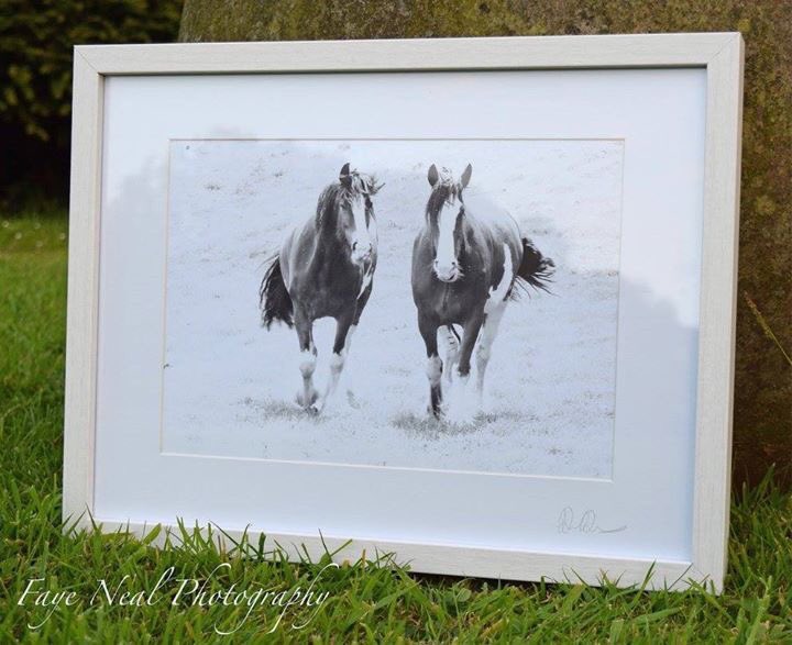 PhotosByFaye's tweet photo. Not long now! If you haven’t entered yet...go to my profile and read my competition post! For a chance to win this framed print. Competition ends tomorrow at 6pm! https://t.co/cBY0HZB21B