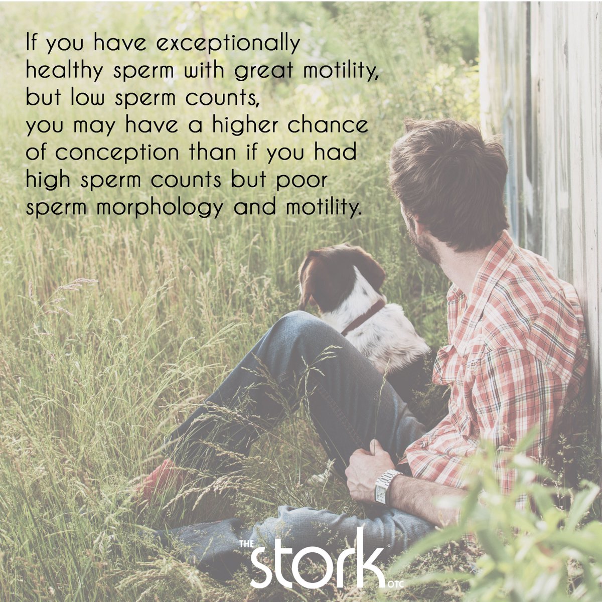 Here is another male fertility fact in honor of National Men's Health month. If you would like to know more about male factor fertility, check out our blog at the following link storkotc.com/male-factor-in…
#menshealthmonth2019 #spermcount #malefactorinfertility #menshealth