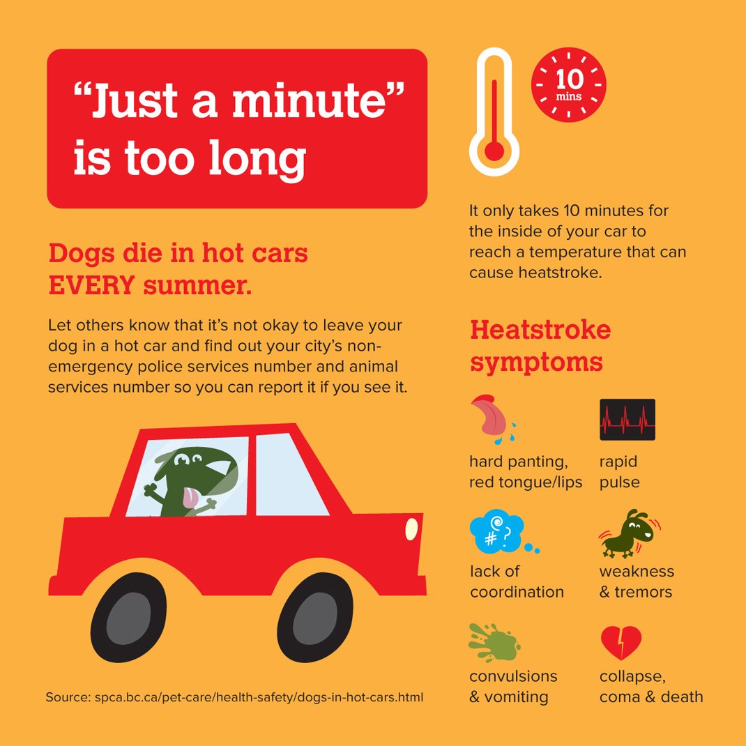 icasfund's tweet photo. Warm weather tips to protect our fur babies. https://t.co/t8AzDmyf2K