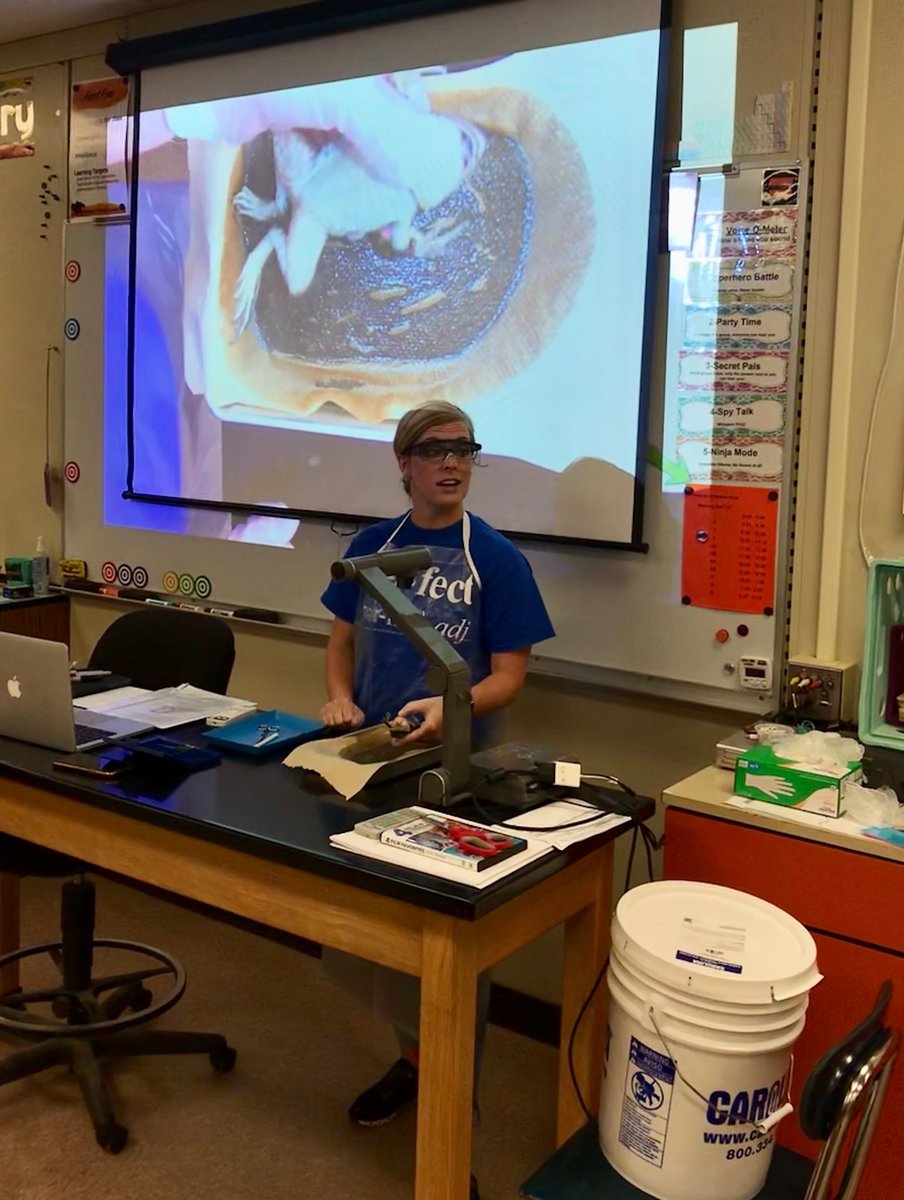 MalissaJuni's tweet photo. Dissection Lab in 6th Science #handsonlearning #sis6sci #GMSsci β¦@miss_carlysisβ© β¦@TigersGmsβ© https://t.co/wSDvBmufzO
