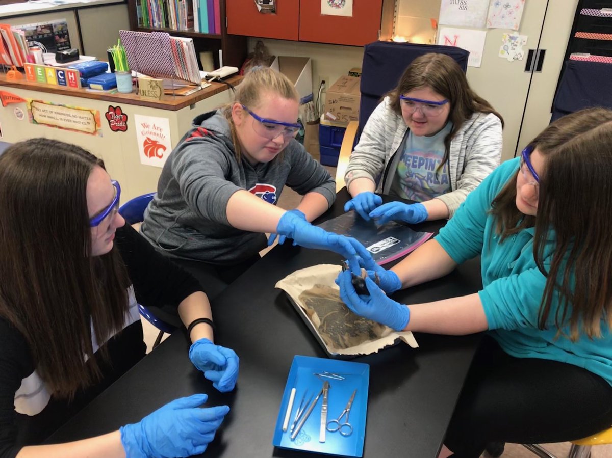 MalissaJuni's tweet photo. Dissection Lab in 6th Science #handsonlearning #sis6sci #GMSsci β¦@miss_carlysisβ© β¦@TigersGmsβ© https://t.co/wSDvBmufzO