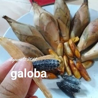 Galoba Hashtag On Twitter