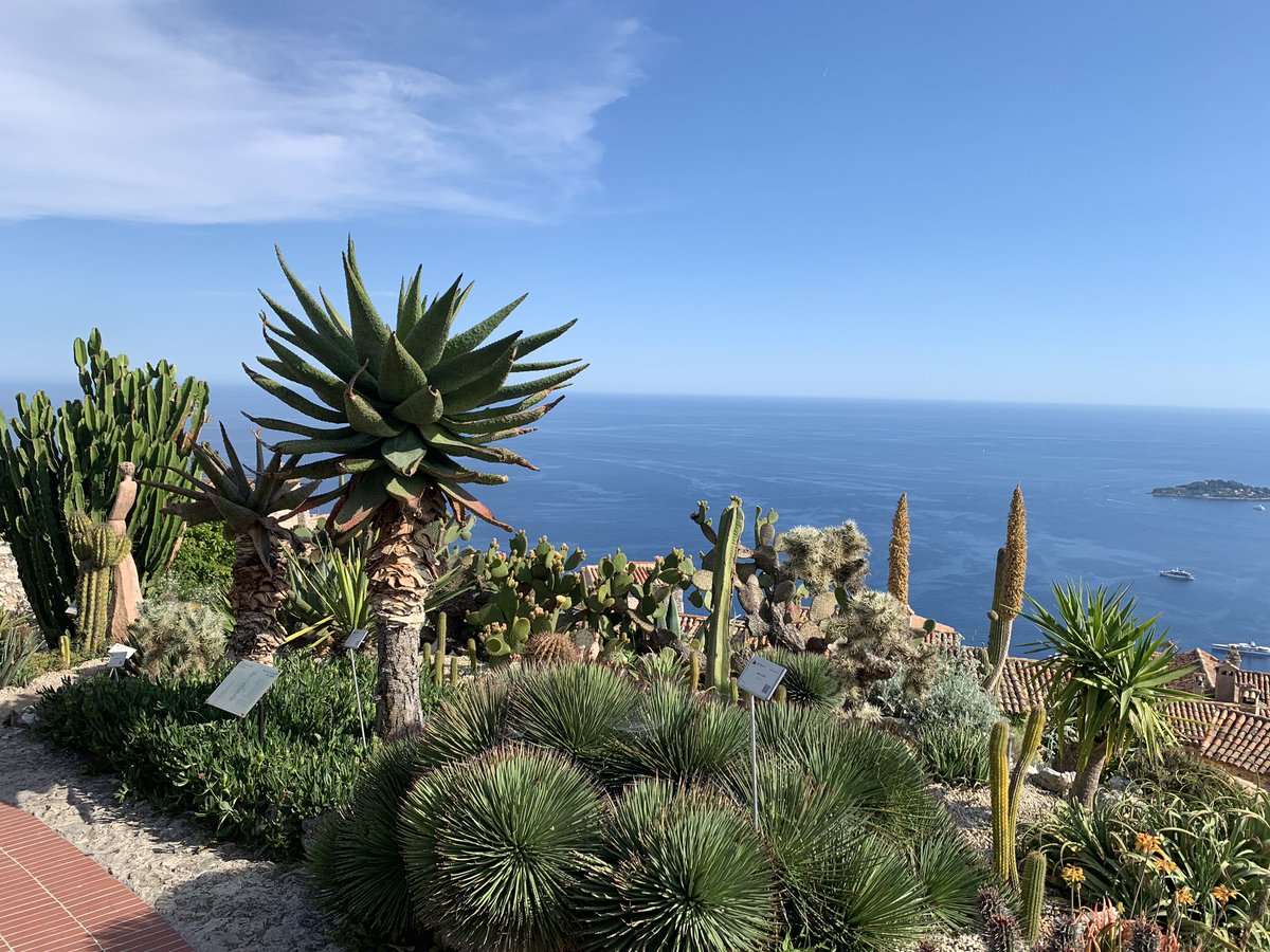MonacoTrip's tweet photo. Reading up on some french history whilst exploring the botanical gardens at Eze. Just look at that view! @lisaj_howell @CLove49851570 https://t.co/NrcLfTqJsy
