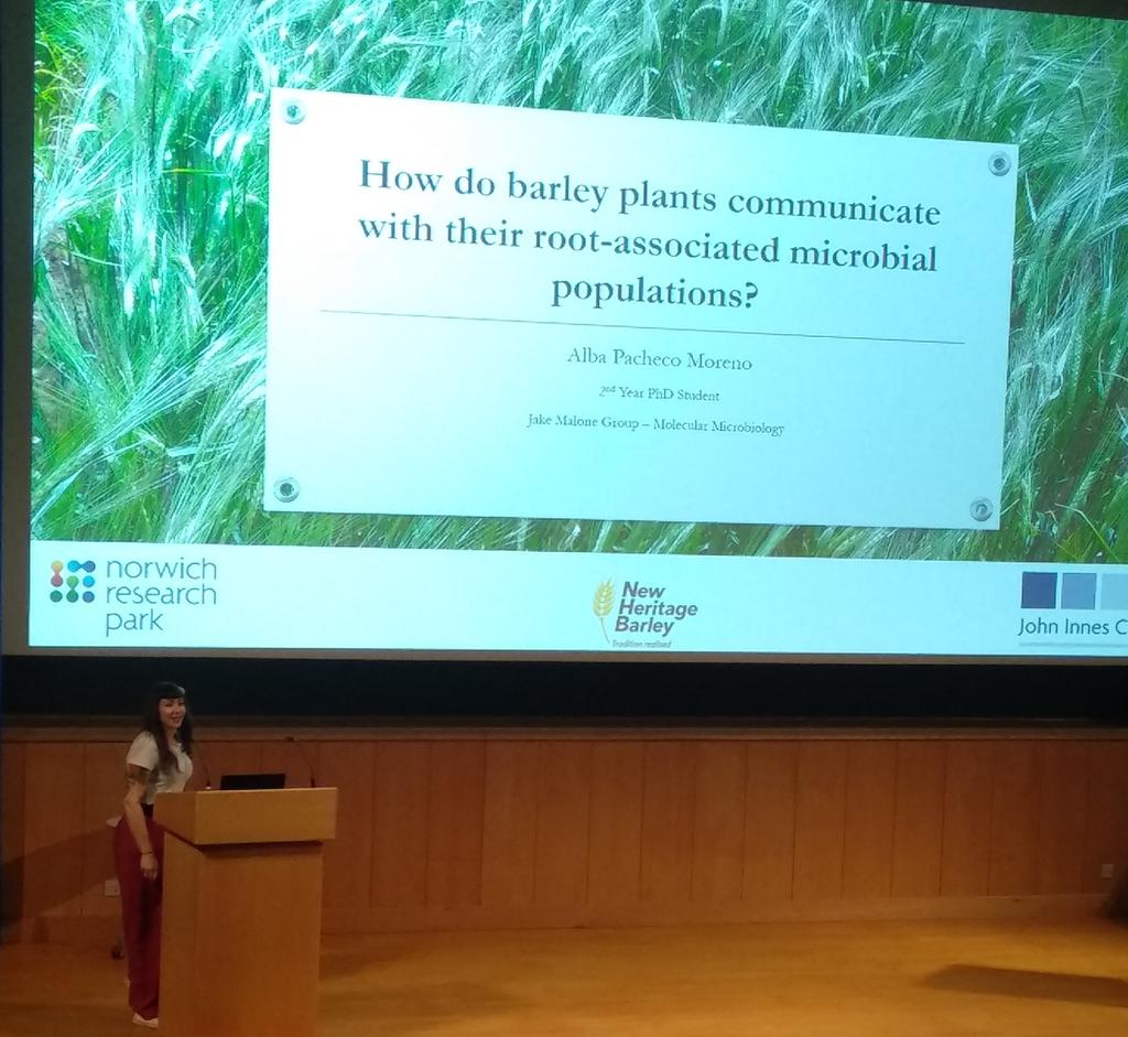 delaconcepcionj's tweet photo. Next up at @NorwichResearch student ASM is @apatxe90 on the genetic mechanisms controlling the interaction between barley plants and its microbiome. #MolMicro #BeerEsBien #AlkarreñosEnUK https://t.co/7LgSIwvmjO