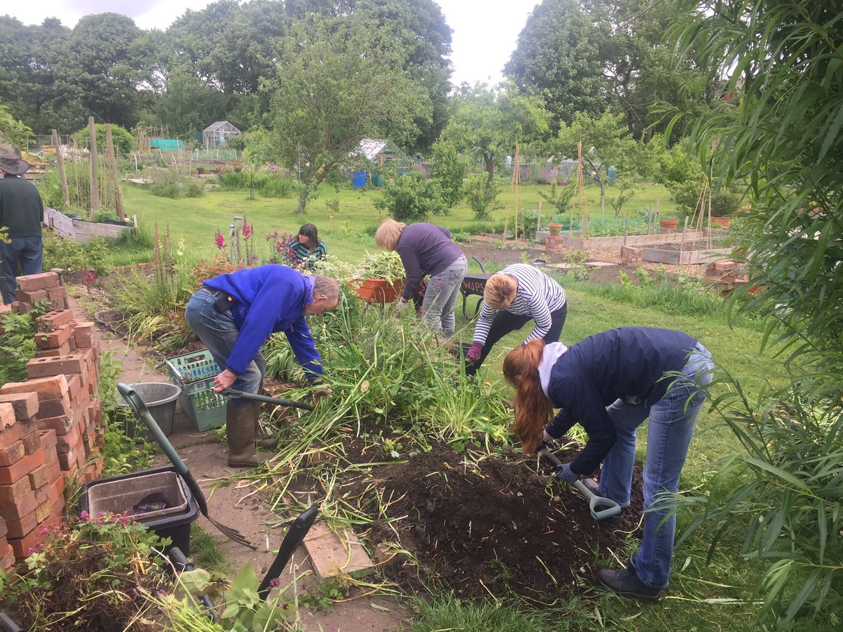 JesmondDAA's tweet photo. Hard working volunteers getting       ready for  our Summer in the Garden sessions @SouthHighbury which start on 24 June and are open to everyone. https://t.co/rwzNpJTklh