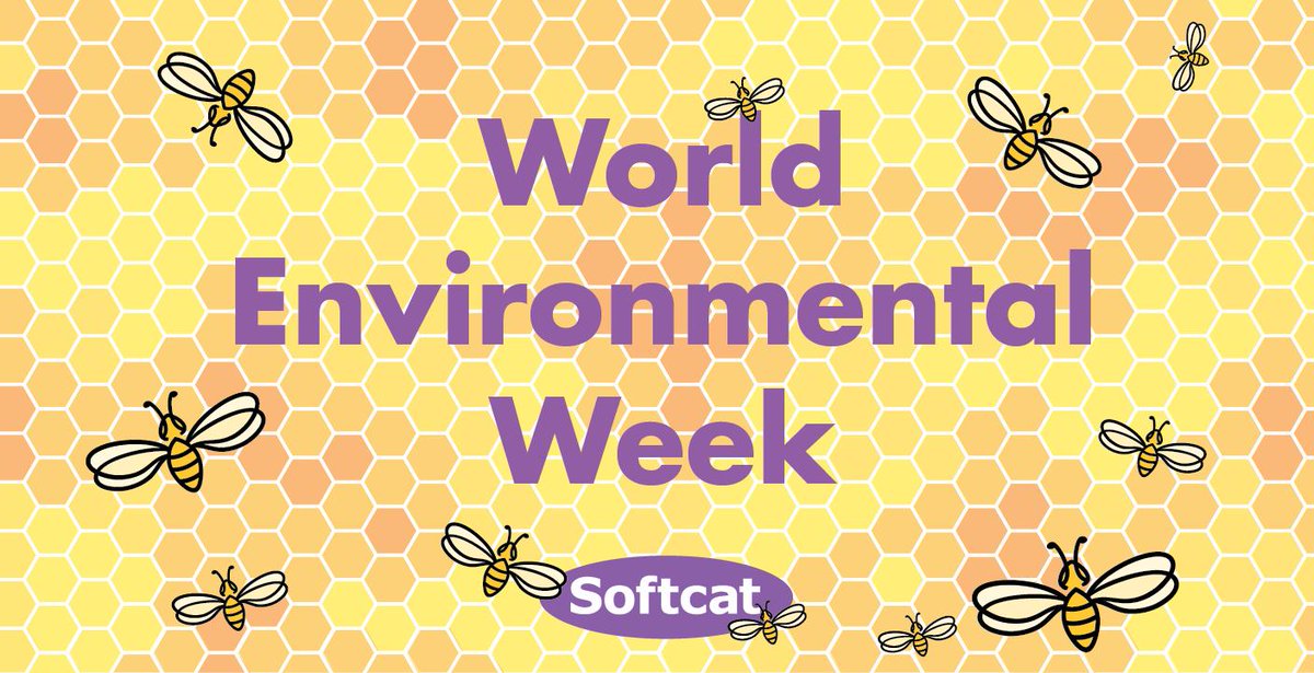 softcat's tweet photo. In honour of #WorldEnvironmentalWeek 🌍 here at Softcat, we'll be posting an interesting environmental fact about the wonderful world we live in, every day this week. Keep an eye out! 👁️ https://t.co/Jy1AWpKZvk