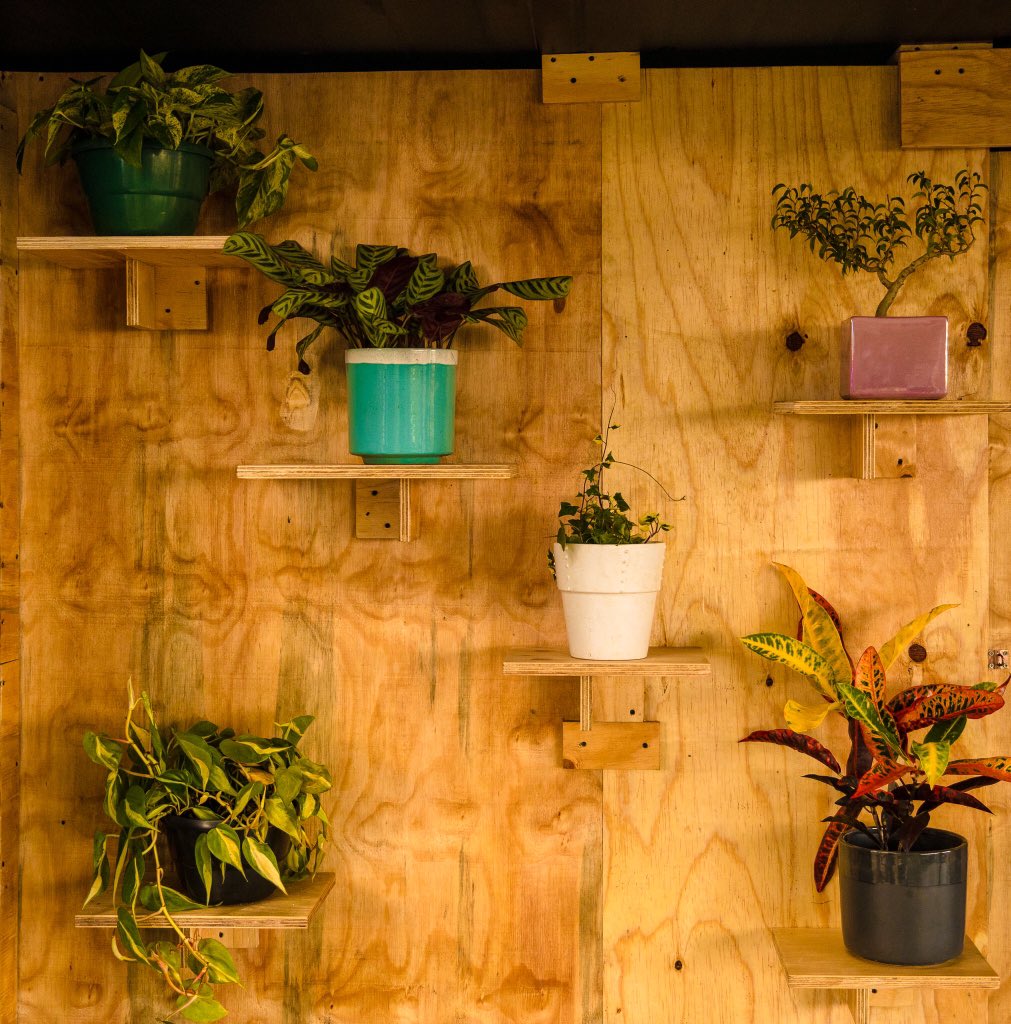 Sneaker & Shoe Care tweet media