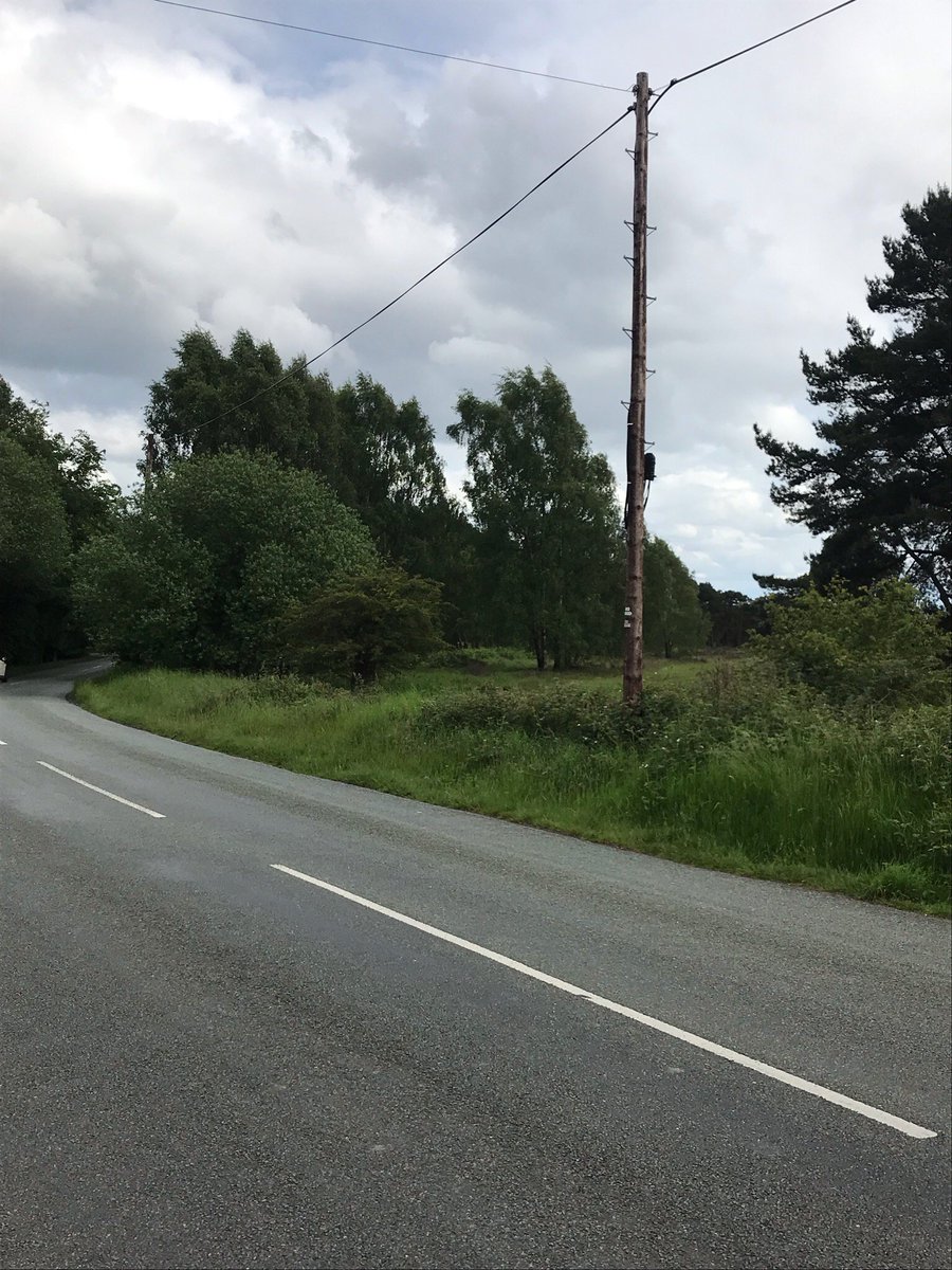 CannockPolice's tweet photo. Local officers have been in the Marquis Drive area of Cannock Chase today as well as surrounding areas and will continue to do so to try and catch off road motorcycles 🏍👀👮🏽♂️👮🏻♀️🚫 #Cannock #NPT3 #nooffroaders https://t.co/nJGFG0geTz