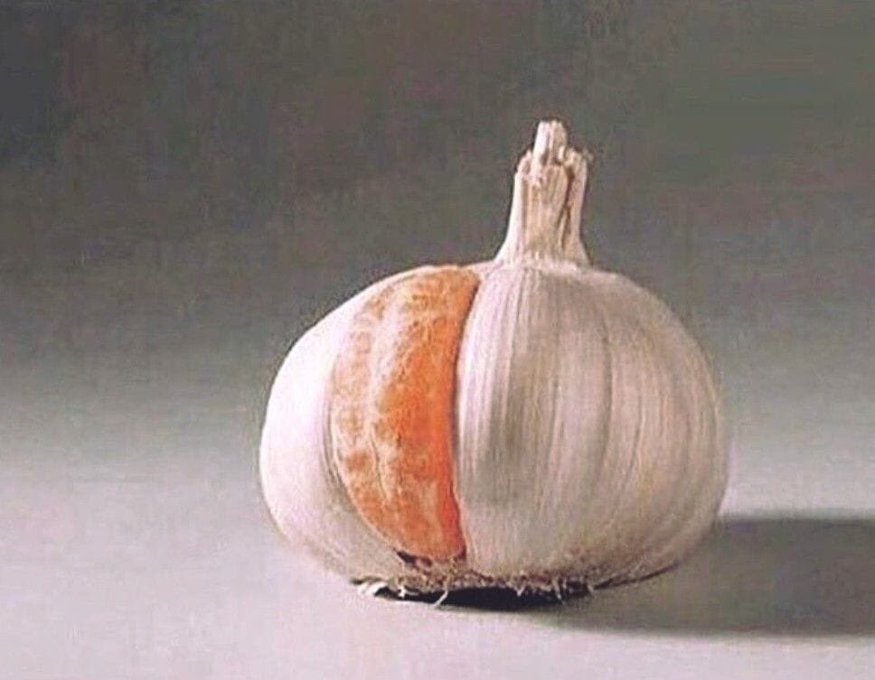 Bir yere uyum sağlıyor olmanız oraya ait olduğunuz anlamına gelmez...