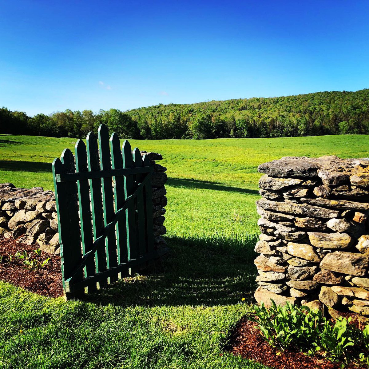 katejmcquade's tweet image. Vermont being all Vermonty. #breadloaf