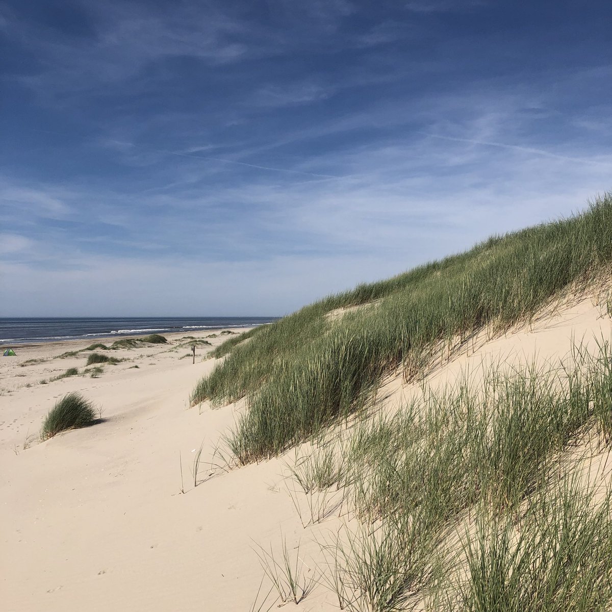 Holland is mooi! We hebben nog plek in onze vakantiehuisjes aan zee! Link in profiel. Rust &amp; Ruimte op het strand  en slapen in een knus huisje villaholland.nl