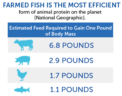 BAP_Seafood's tweet photo. DYK? Farmed fish is the most efficient form of animal protein on the planet! https://t.co/VMZVUqoAbo