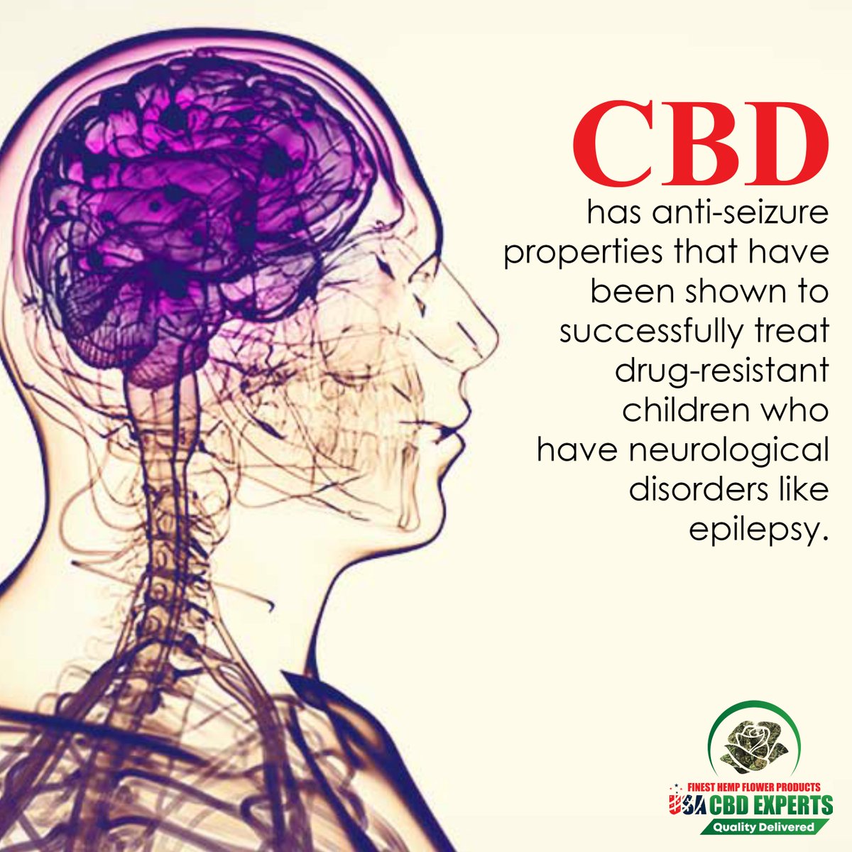 experts_cbd's tweet photo. CBD has anti-seizure properties that have been shown to successfully treat drug-resistant children who have neurological disorders like epilepsy.

#usacbd #cbd #cannabis #hemp #hightimes #cbdvape #dabs #cbdheals #life #dank #organic #cbdcommunity #natural #healthandwellness https://t.co/YPC2ja75M3