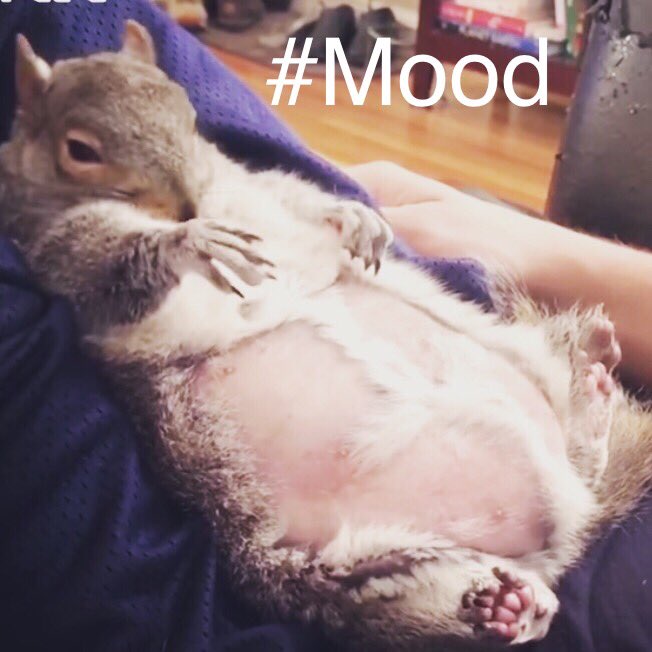 AnotherMother2's tweet photo. @MissFlyByNight Seems appropriate https://t.co/d8lUsb4Ax6