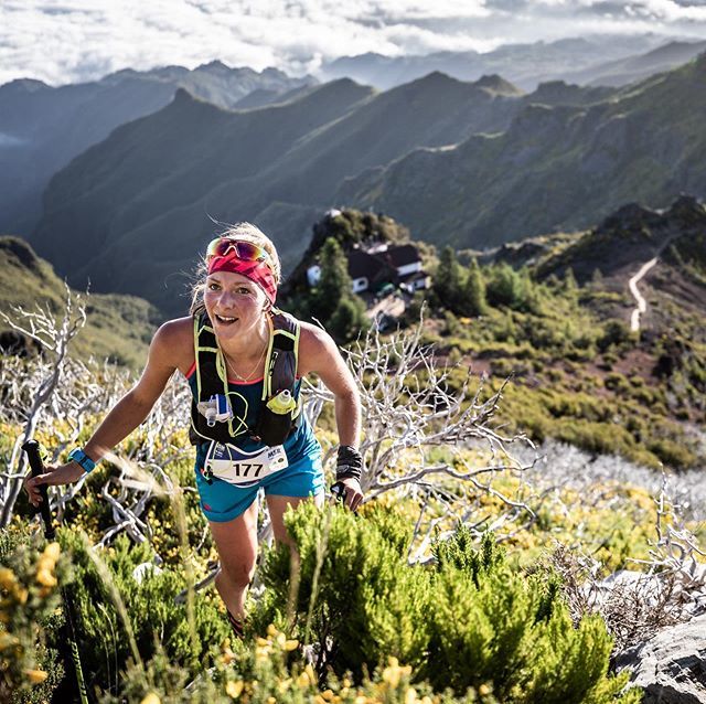 David Gonthier tweet media