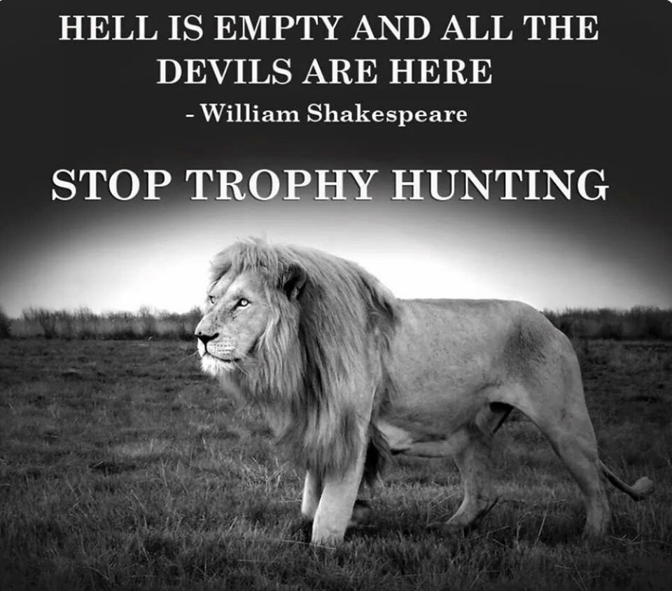 1.7 MILLION trophies taken by hunters in last decade. Lions &amp; elephants are seeing dramatic declines in their gene pool. Up to HALF of animals that are shot are wounded &amp; die slow painful deaths. IT’S TIME TO #BANTROPHYHUNTING ! Retweet if you agree!