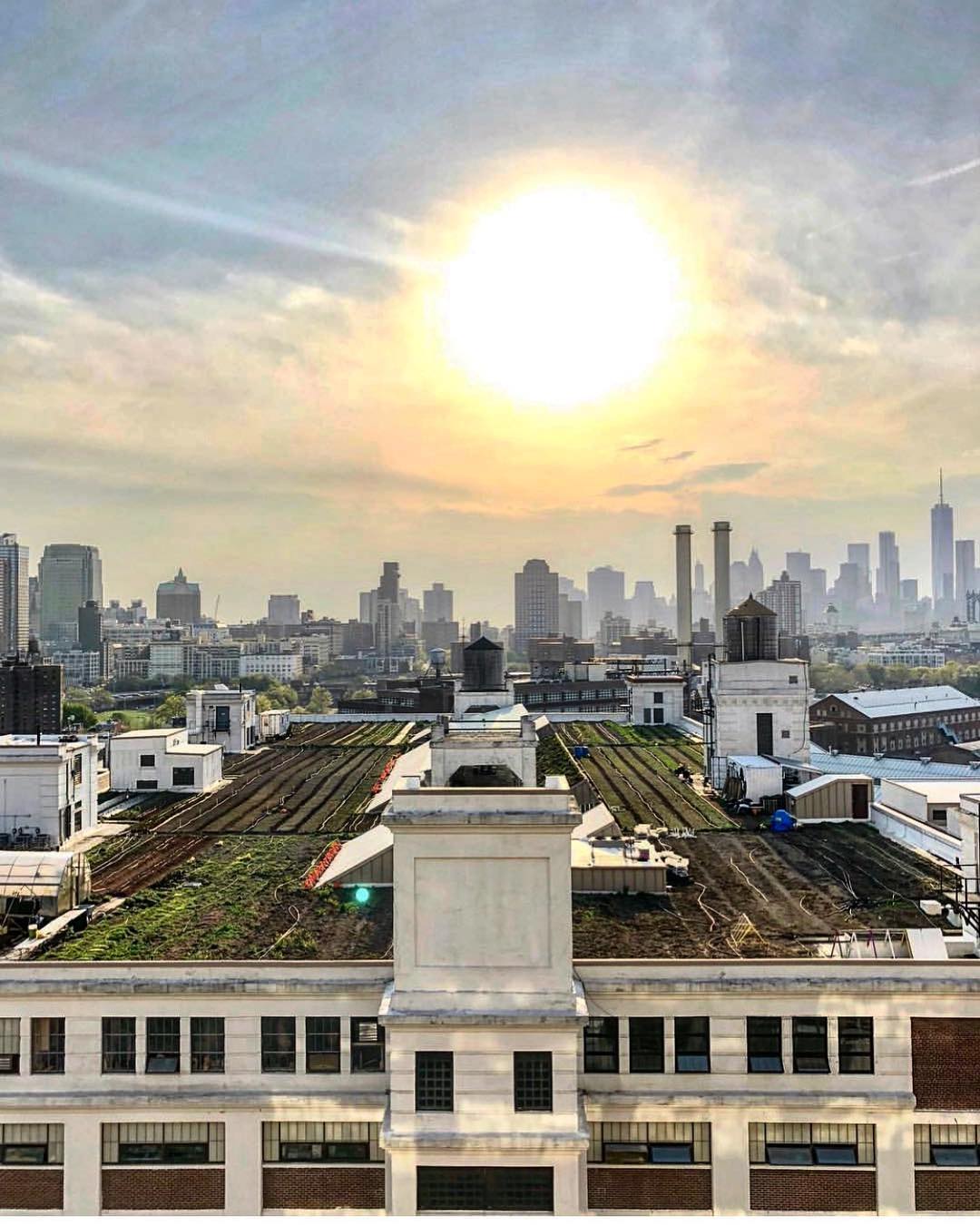 Q Mixers on Twitter "Reason to love Brooklyn number 678