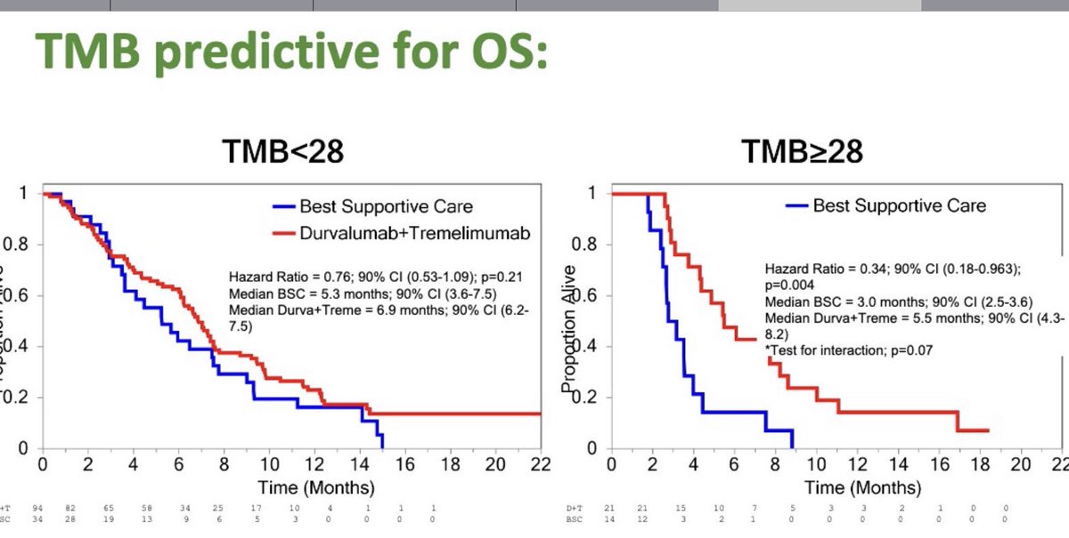 Sharlene Gill, MD, MPH, MBA, FASCO (@gillsharlene) on Twitter photo Can high TMB predict immunotherapy response in MSS mCRC? CO.26 analysis discussed today suggest yes - exciting results and warrants a further study! #ASCO19 <a href="/CDNCancerTrials/">CCTG</a> <a href="/jonathanloree/">Jonathan Loree</a> <a href="/BCCancer/">BC Cancer</a> <a href="/HKennecke/">Hagen Kennecke</a> Can high TMB predict immunotherapy response in MSS mCRC? CO.26 analysis discussed today suggest yes - exciting results and warrants a further study! #ASCO19 <a href="/CDNCancerTrials/">CCTG</a> <a href="/jonathanloree/">Jonathan Loree</a> <a href="/BCCancer/">BC Cancer</a> <a href="/HKennecke/">Hagen Kennecke</a>