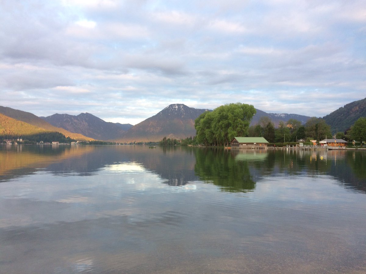 Reinhard Fuchs tweet media