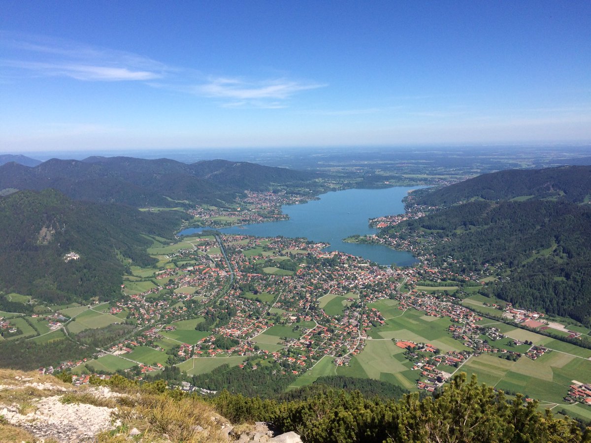 Reinhard Fuchs tweet media