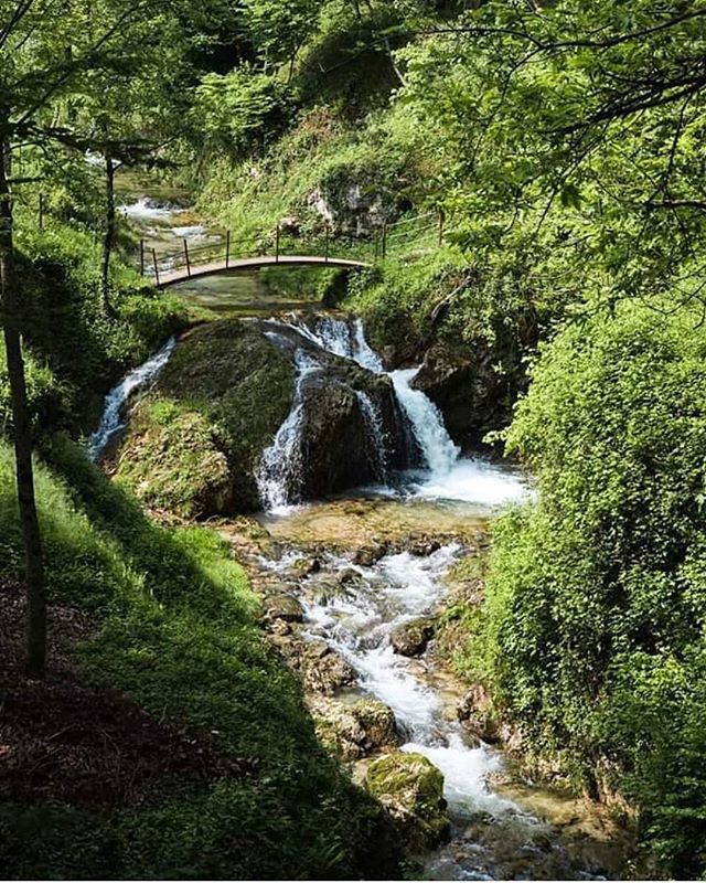 La via dei mulini/via dell'acqua è un percorso naturalistico che permette di scoprire antichi mulini e opere idrauliche, sorte lungo il torrente Rujo.
Foto di <a href="/opposable/">Kim dong han</a>.thumb
#igerstreviso #weareigersit #instagramersitalia bit.ly/2XobGyW