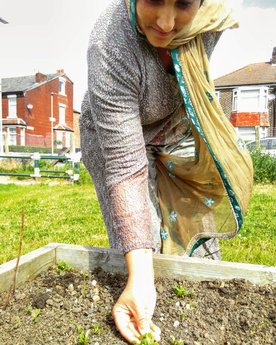 I spent an hour weeding the <a href="/IELevy/">I E Levenshulme</a> beds today, and met Noreen, who had sown some coriander seeds in one of them a week ago. I'll add a courgette plant and bean seeds next week, and Noreen said she'll water them - result!

#community #levenshulme #GYOforWellbeing
