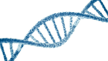 jtravisflhs's tweet photo. The hereditary factors proposed by Mendel are now known to be composed of DNA #leregentsreview https://t.co/IKwJ5c3YD0