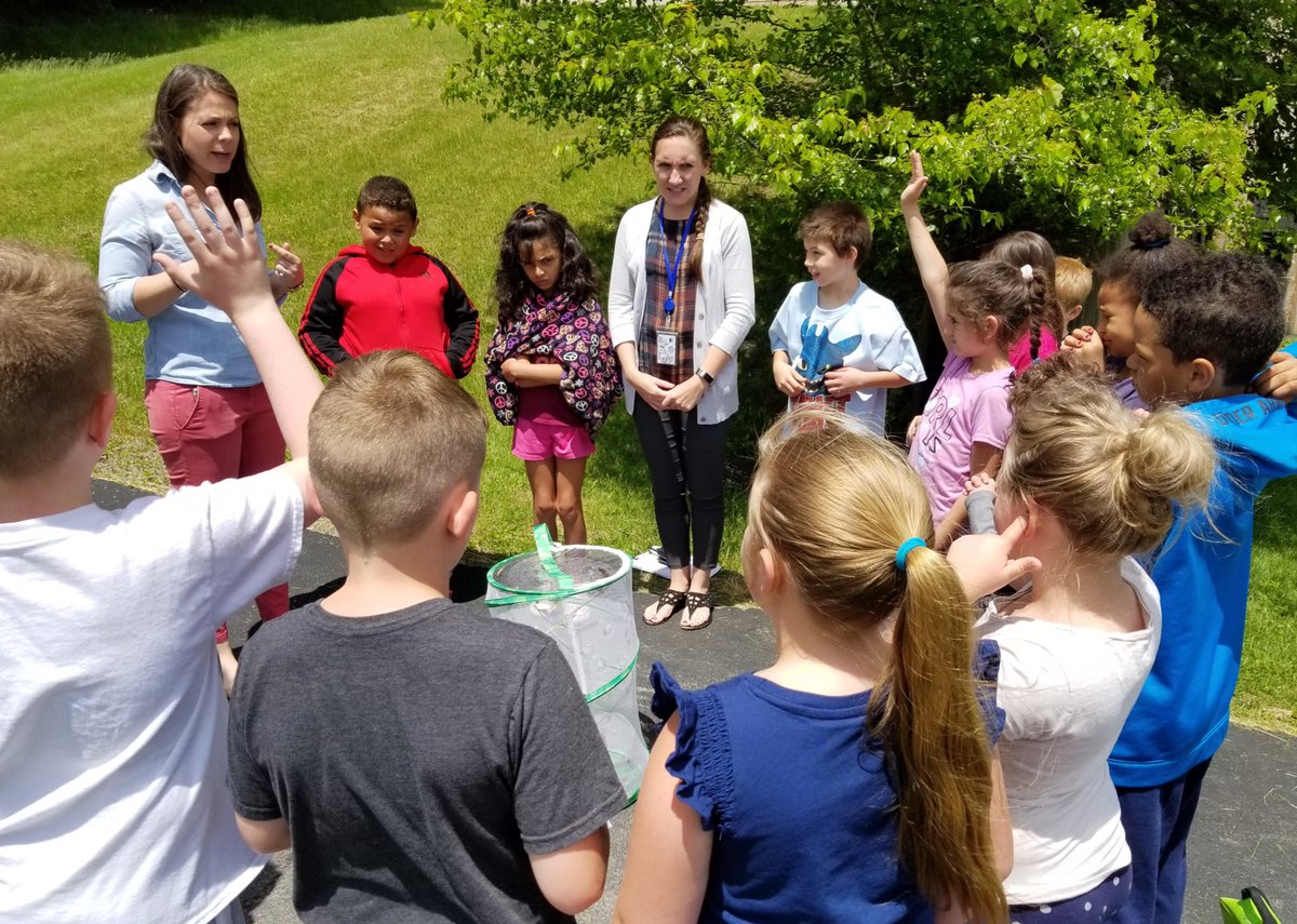 JennyTinelli's tweet photo. After weeks of studying and taking care of our caterpillars, today was the big day: we released the butterflies into the wild! Perfect weather to finish our Science unit 🦋 #inspiresuccesstogether #thirdgrade #butterflylifecycle #tvbears https://t.co/0BcxhYto8u