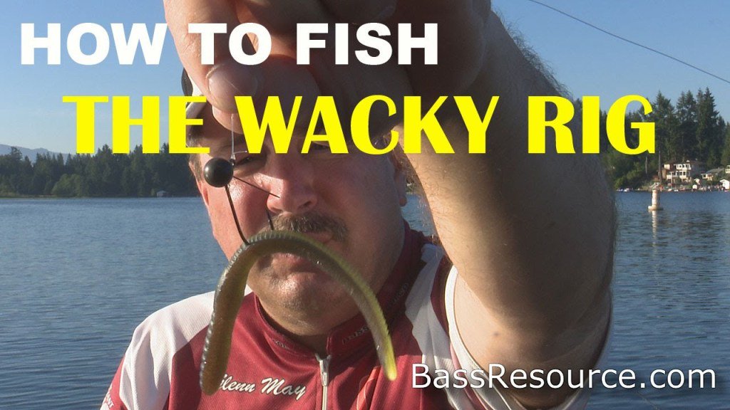 FishingTips7's tweet photo. How to Fish a Wacky Rig for Bass | Bass Fishing https://t.co/z1vYK9GMPu https://t.co/iIlx2aiklJ