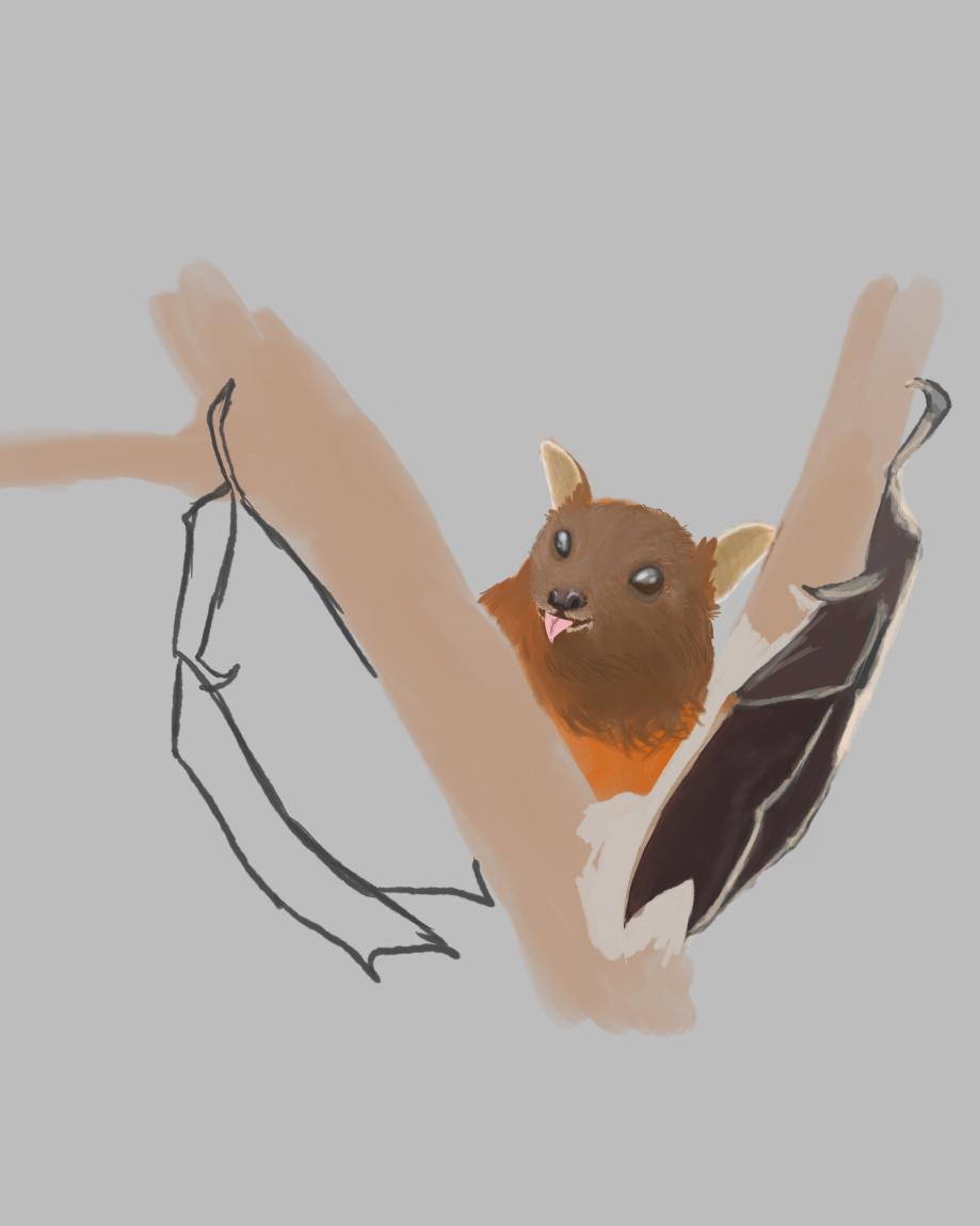Littlebitbat's tweet photo. My boi is slowly coming together but he's getting there! #myart #bats
#batboi https://t.co/wXip6M6Lpi
