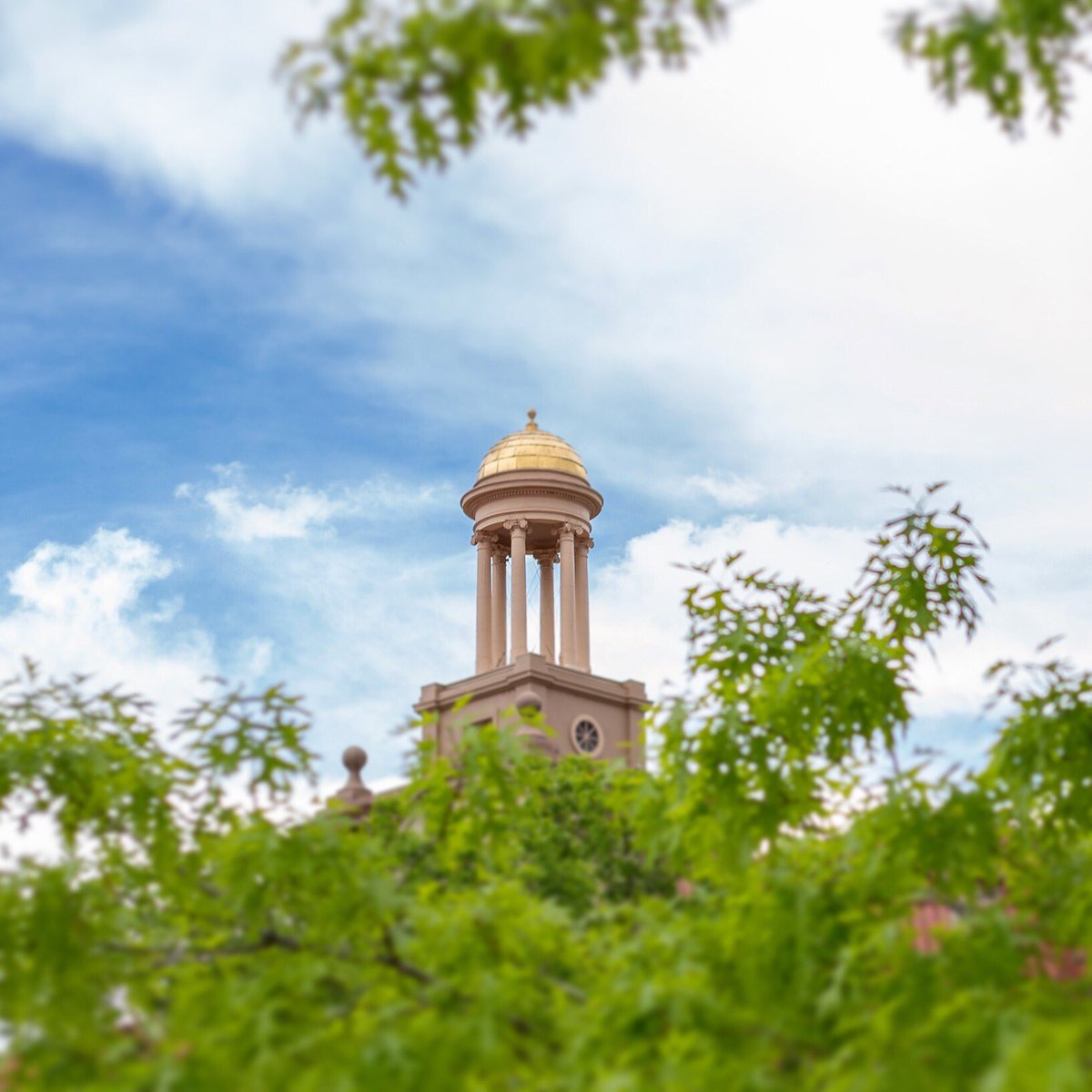 Lovin’ all the green on campus! #MinesSummer
