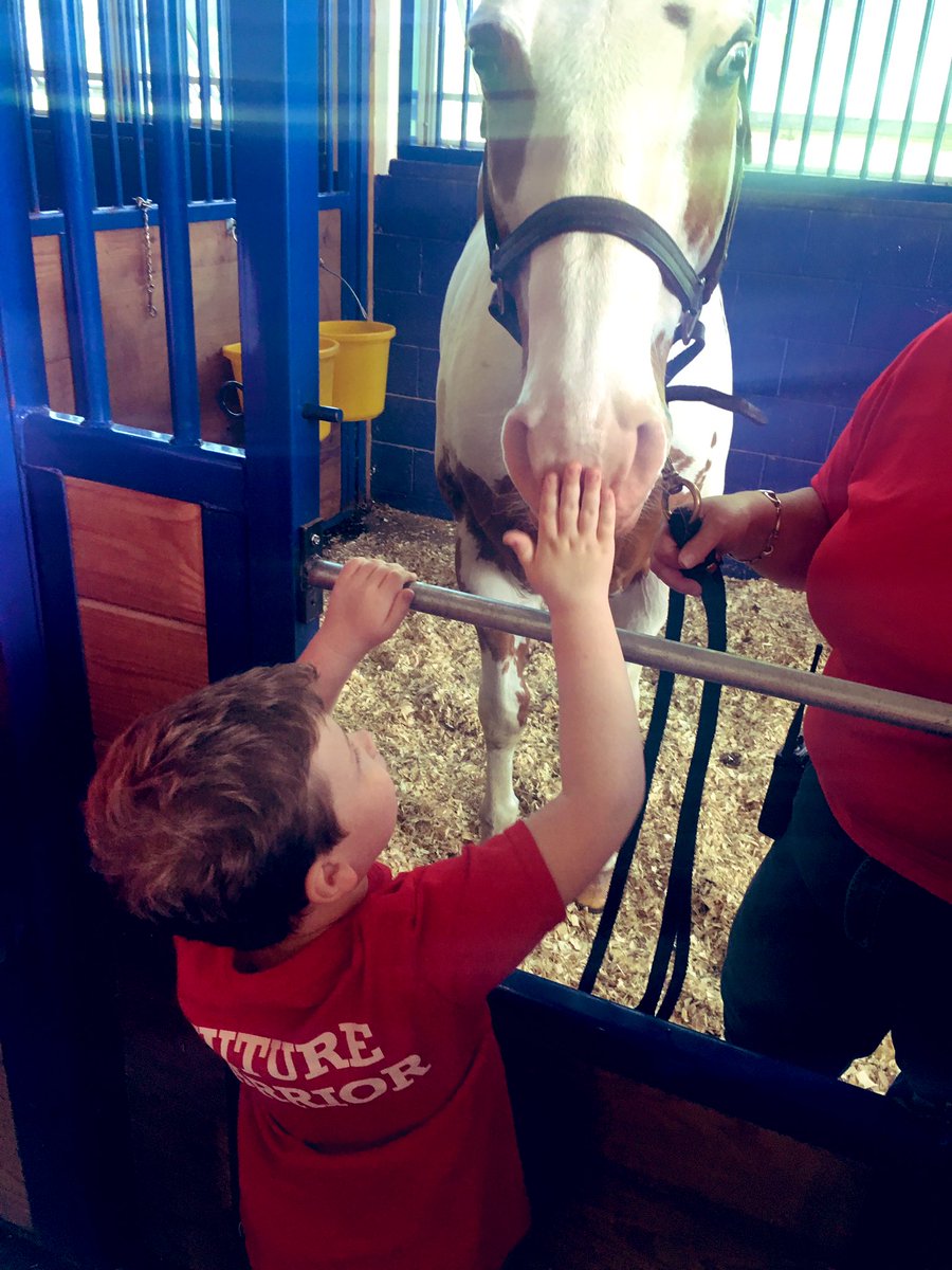 MsStocker2's tweet image. More Ultimate Field Day fun!! It was so cool for us to visit with the animals 😊 @TraKeilty