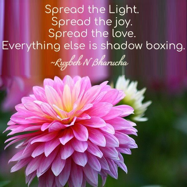 ruzbehnbharucha's tweet photo. Spread the #Light. Spread the #Joy.Spread the #Love.Everything else is shadow boxing. #RuzbehNBharuchaQuotesOnLife #RuzbehNBharucha #TheWayToLive https://t.co/Zd0GfzgSnB