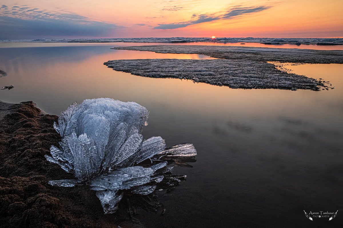 Ice flowers on the beach 
Hay River, NT Canada 
#hayriver #northwesterritories #canada #travelcanada #explorecanada #imagesofcanada #thisiscanada #visithere #canon #sunset #sunsets #beachlife