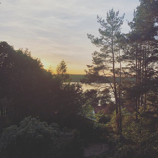 Moodesignz's tweet photo. Not the worst view in the world #sunset #lakeview #lake #forrest #inspiration #nature #life #travel #holidays #moodesignz https://t.co/hpTJ49UkST https://t.co/KFob8ON4JW