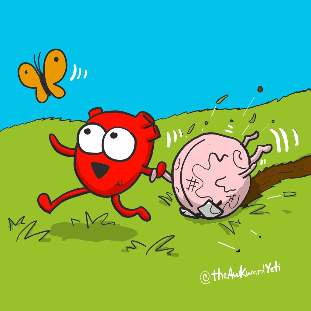 theawkwardyeti's tweet photo. https://t.co/novxZMKSx0