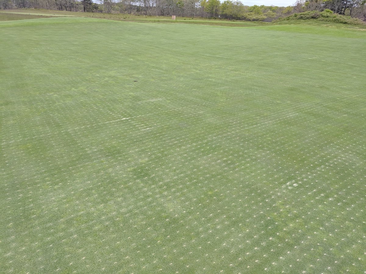 RhizoSorb's tweet photo. Had the pleasure of playing a round at #Vineyard Golf Club thanks to @kev_e_banks the day after #Dryject w/ #RhizoSorb and you couldn't even tell @kmcddryject @ColonialTurf were there! #organic #turf #MarthasVineyard https://t.co/sZx2xCfgbL