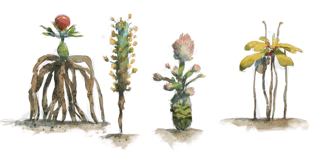 Some common plants doodle today. Time lapse of process soon. Can’t wait to mock these up in UE4 and grow them in Towers ecosystem. Which one is your favorite? (Left to right) #towersgame #terrarium #weirdplants #conceptart