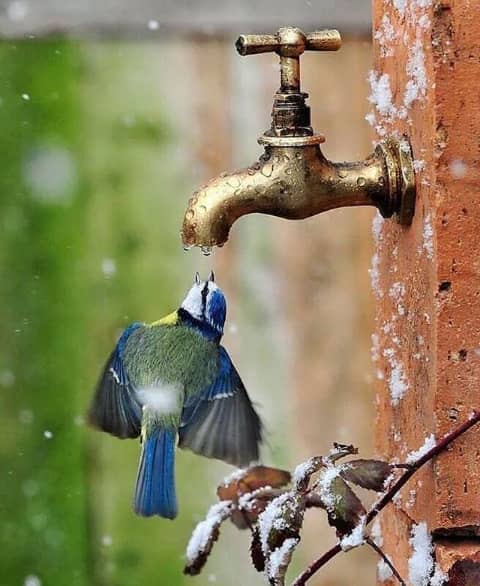 AmyCollGaye2's tweet photo. Une goutte n'est jamais de trop! https://t.co/Vj3zXj4o9i