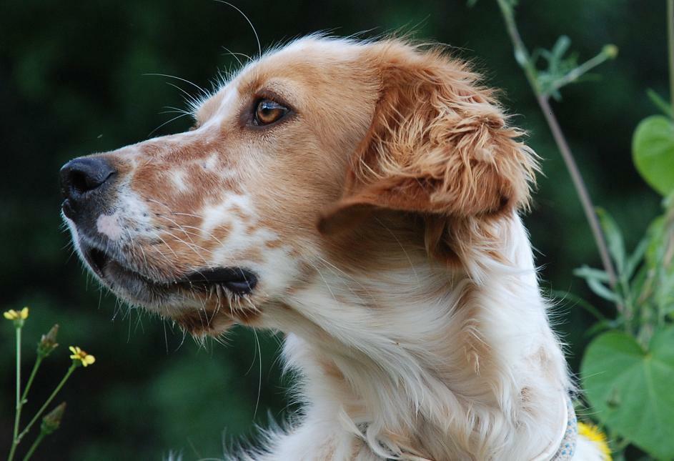 John Grady Cole tweet media