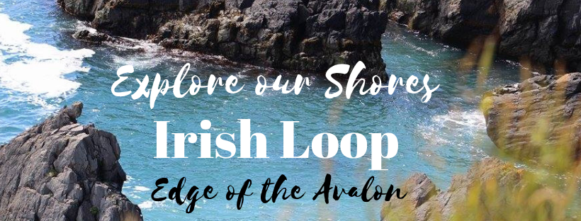 edgeoftheavalon's tweet photo. We've got a wee bit on the go this season on #TheEdge of the Avalon #UNESCO #Fossils #Guidedhikes #storytelling #livemusic #quadtours #screechins #titanicdining #ExploreNL #exploreourshores #IrishLoop #baycation
Check it: https://t.co/Wz57afEMeX https://t.co/4tYc1YUqFd