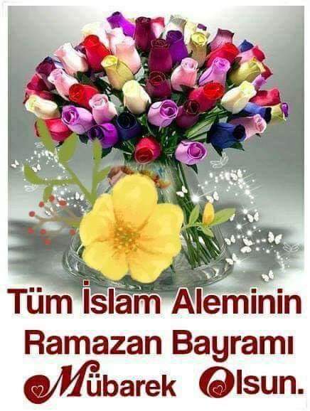 Hüseyin Güneş (@hseying79698424) on Twitter photo 