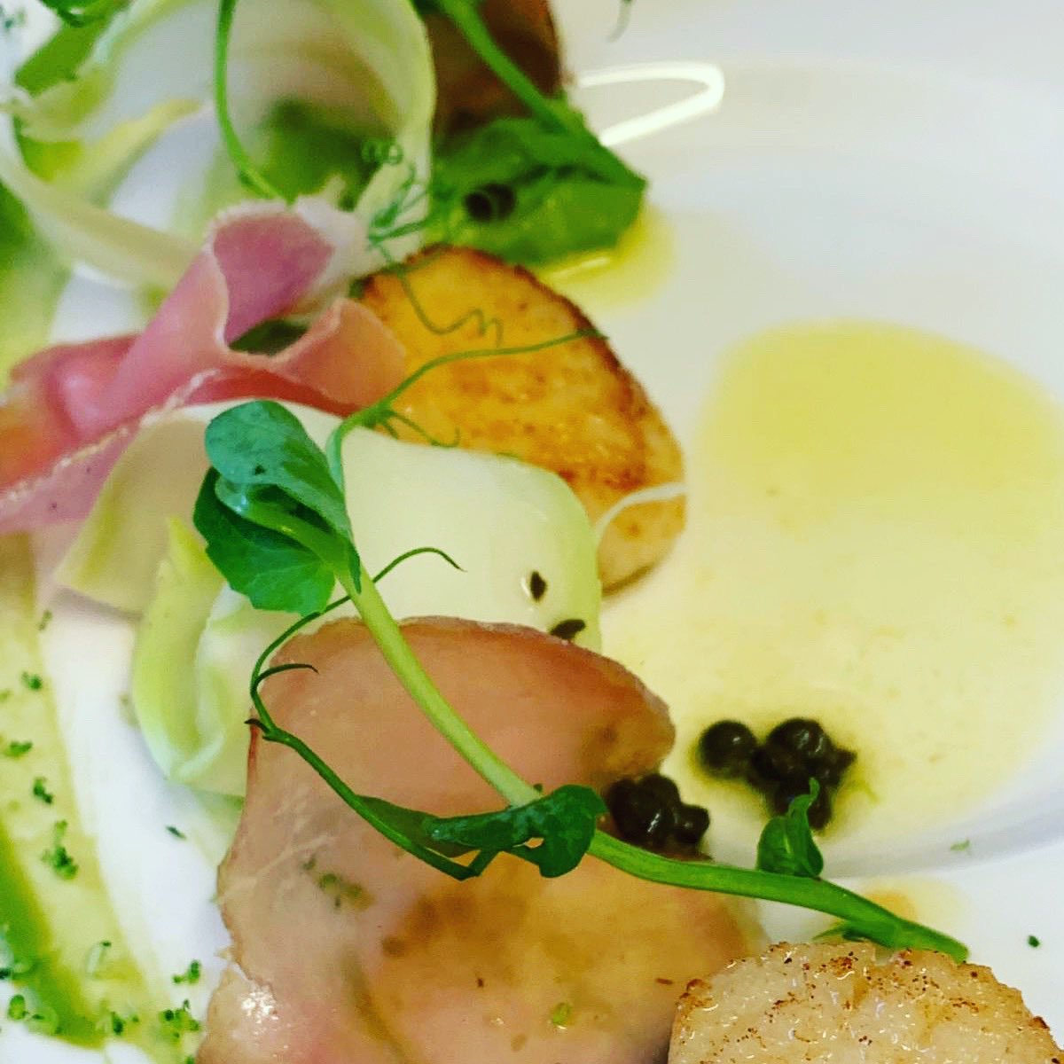 ronniesdining's tweet photo. In celebration of fish and chip week.  We will be offering our Fish tasting menu all week t&amp;cs apply £45pp call 01454411137 #fish #halibut #fishtastingmenu #thornburyeats #thornbury #Bristol #finedining #foodie #nationalfishandchipsday #fishweek #tastingmenu  #bristolfood https://t.co/AuwndfTlui