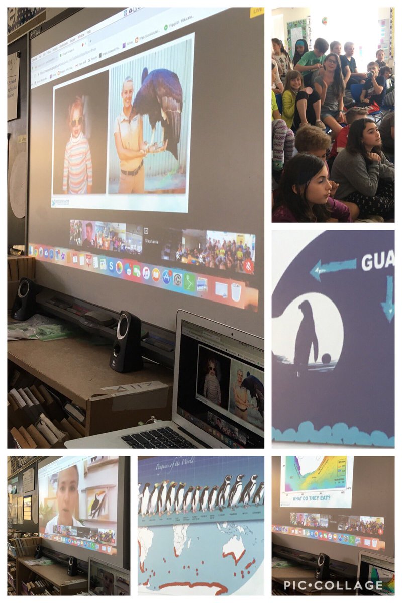 Katewhipple18's tweet photo. Amazing hangout with Stephanie Arne teaching the kids about sustainability, and taking care of the animals on our planet! She showed us how the penguins in South Africa can survive with a little help from some amazing scientists!! #ExplorerClassroom @NatGeoEducation https://t.co/M2o7sO1vmB