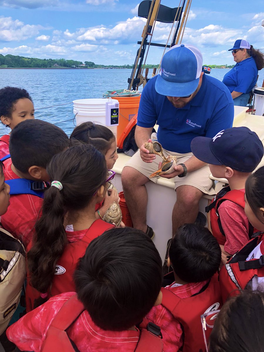 MsMaryMaloney's tweet photo. Incredible day sailing on the Christeen and exploring the beach at the Oyster Bay waterfront!       🐚🐟🦐🦀☀️⛵️#Glencovepride @GlenCoveSchools https://t.co/tATeGxnafU