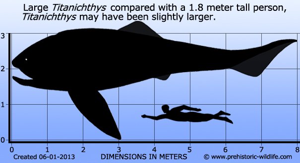 Extinct Animals On Twitter Titanichthys Is An Extinct
