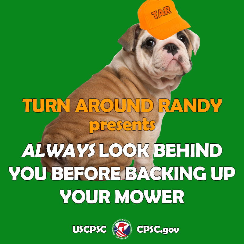 A pug in a orange hat. Their name is Turn Around Randy. The text reads: Turn around Randy presents Always look behind you before backing up your mower.