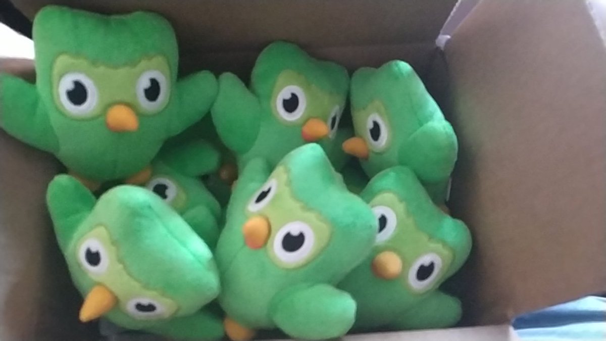 duolingo stuffed owl